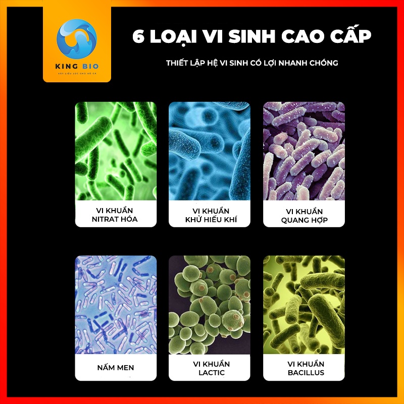 Viên nang vi sinh cho hồ cá YEE Nitrifier - làm sạch và trong nước bể cá