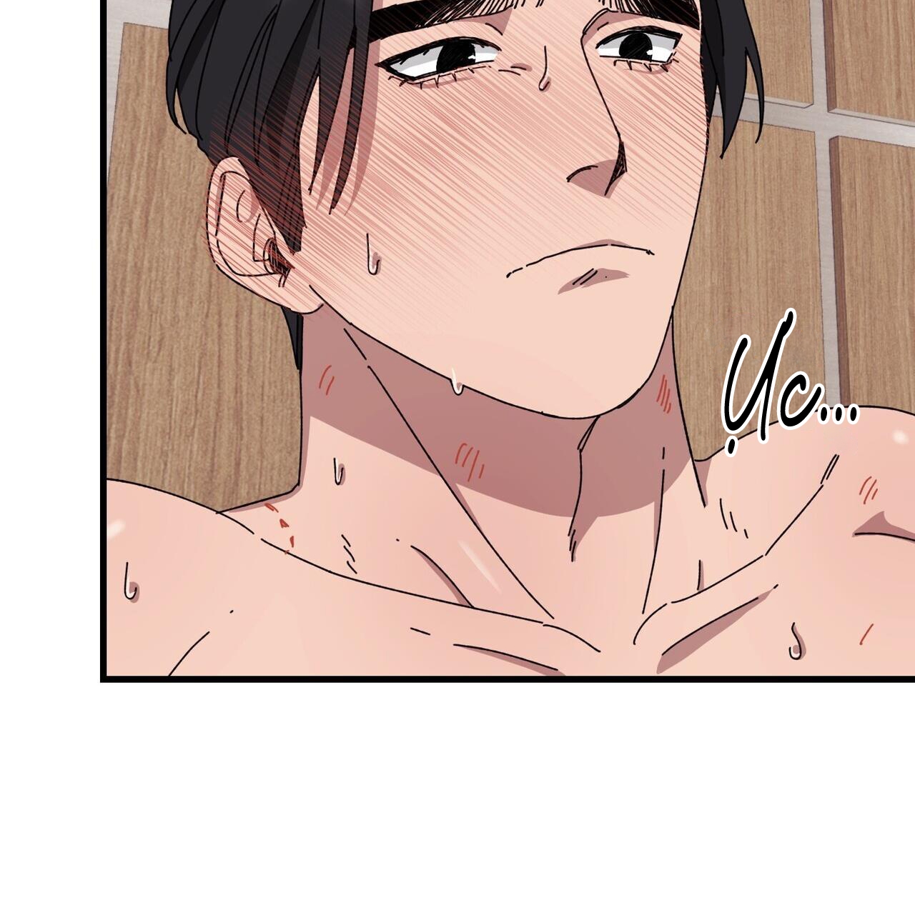 chàng dâu nhà họ kang chapter 38 68