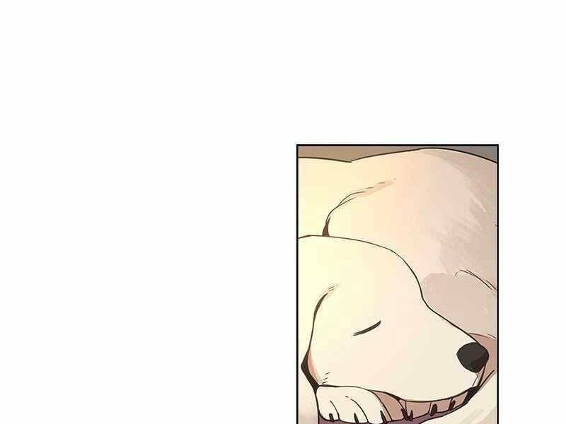 võ sĩ - the boxer chapter 116 17