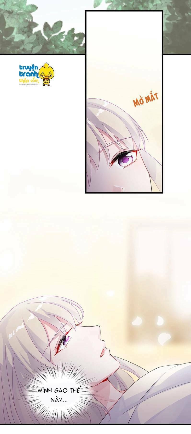 chọc tới chủ tịch tổng tài 2 chapter 31 11