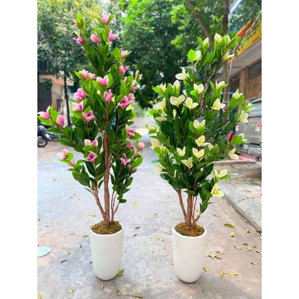 Cây hoa mộc lan giả - Size 180cm - Cây giả, hoa lụa Decor trang trí nhà cửa