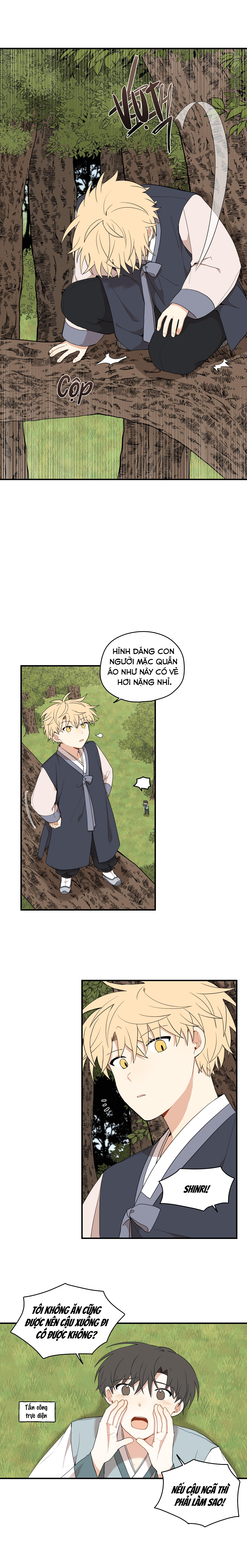 đường hoa liên kiều rơi chapter 31 51