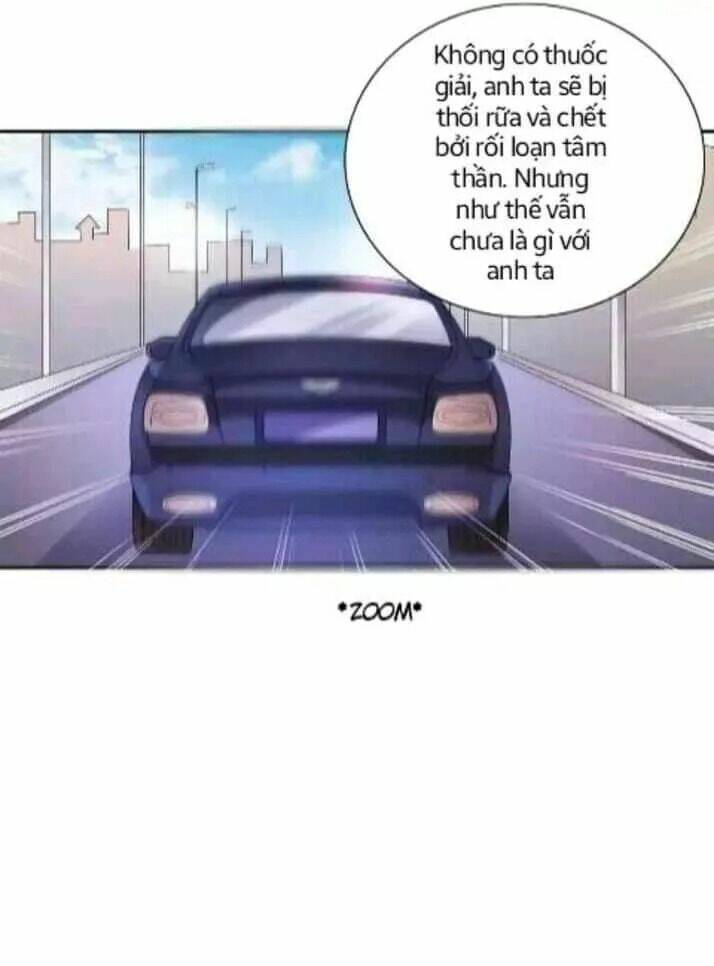 1 nửa hoàn hảo của ceo chapter 20 15