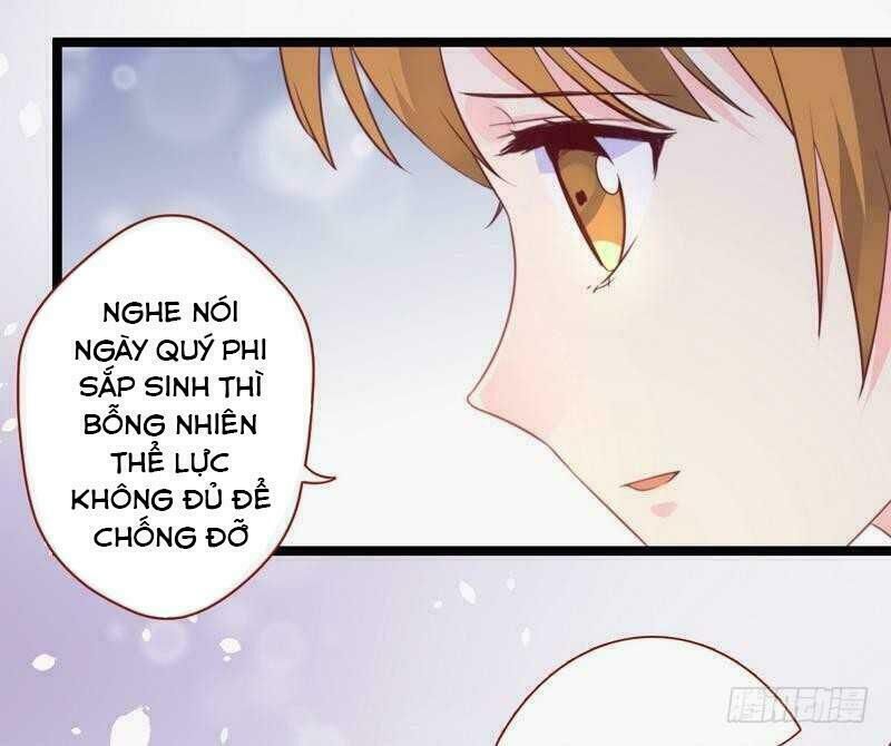 vương phi - âm động thiên hạ chapter 34 14
