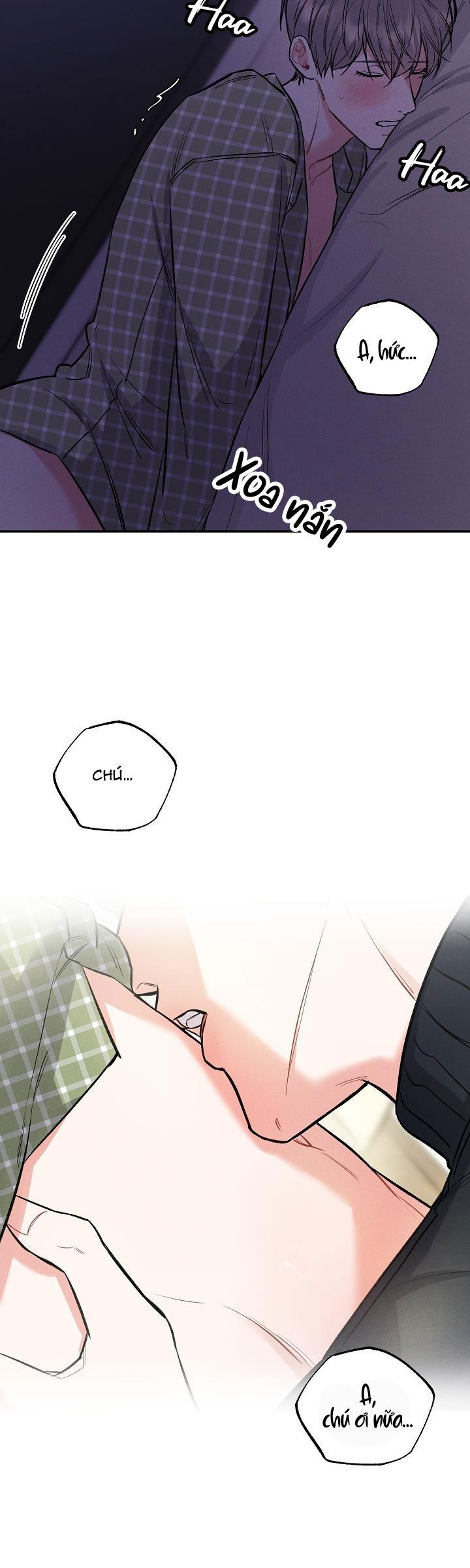 mặt trời của đêm chapter 21 23