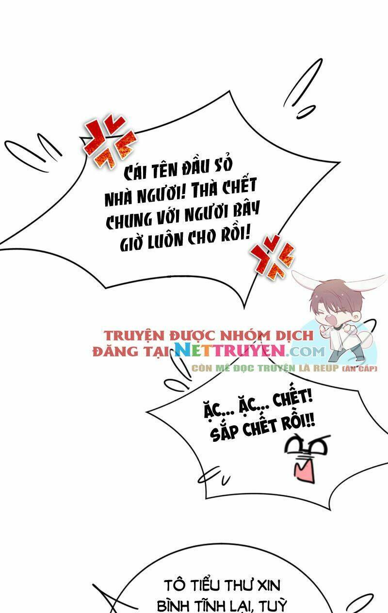 thiên thần gấu trúc muốn được ôm chapter 32 4