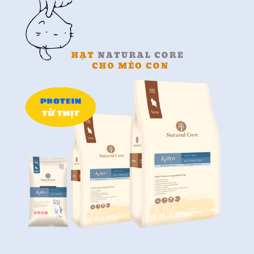 HẠT MÈO CON - NATURAL CORE C1 KITTEN THỊT GÀ & CÁ HỒI - SẢN PHẨM HÀN QUỐC