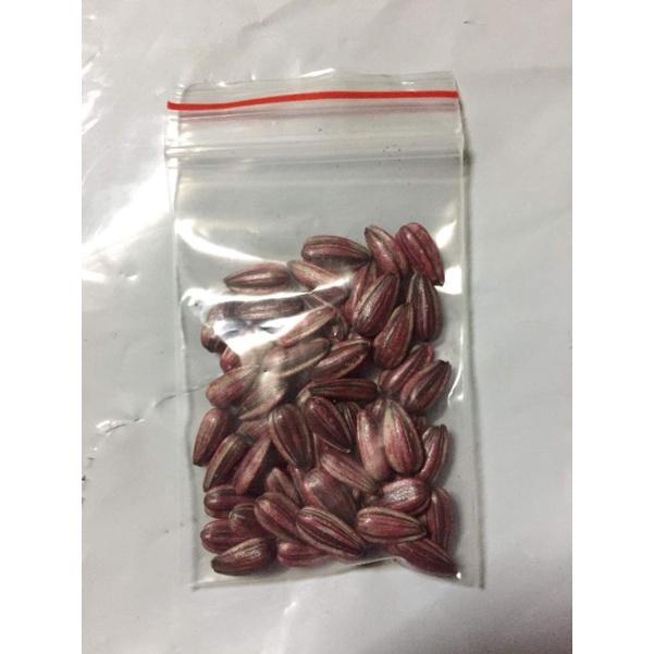 100 Hạt giống hoa Hướng Dương