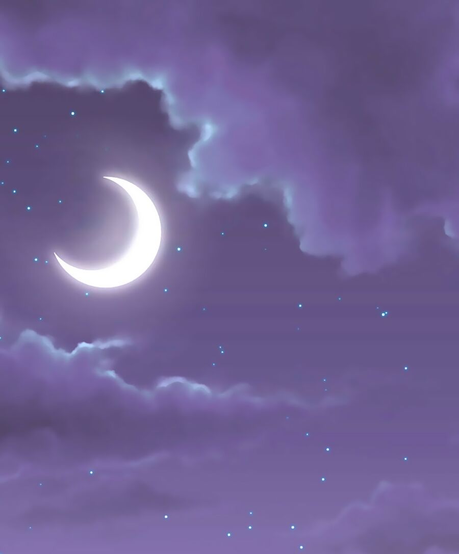 cả thế giới đều không bằng người chapter 39 39