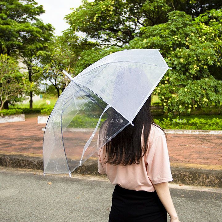 Ô trong suốt Hàn Quốc che mưa, chụp ảnh sống ảo