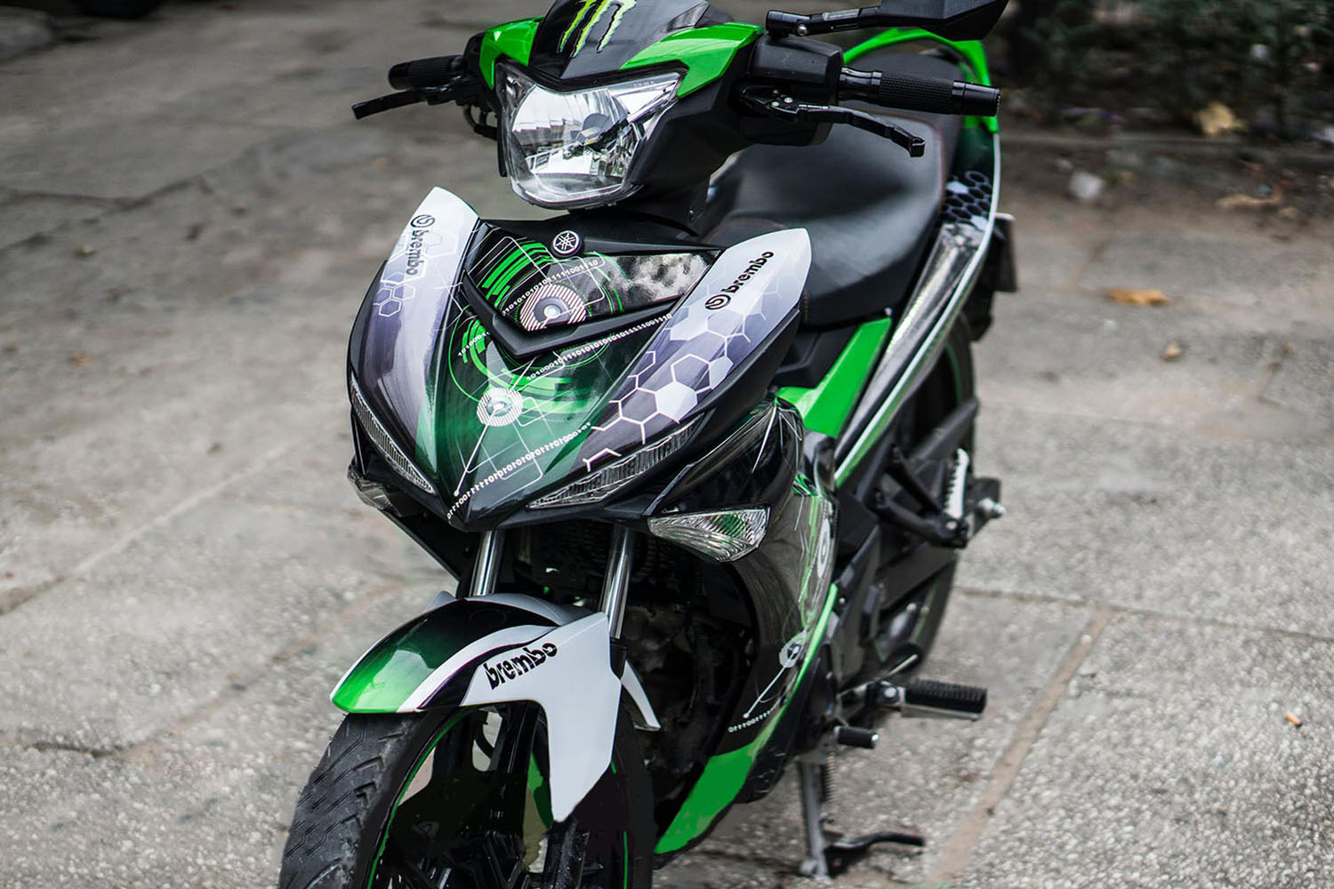 Tem trùm Exciter 150 Green Electric