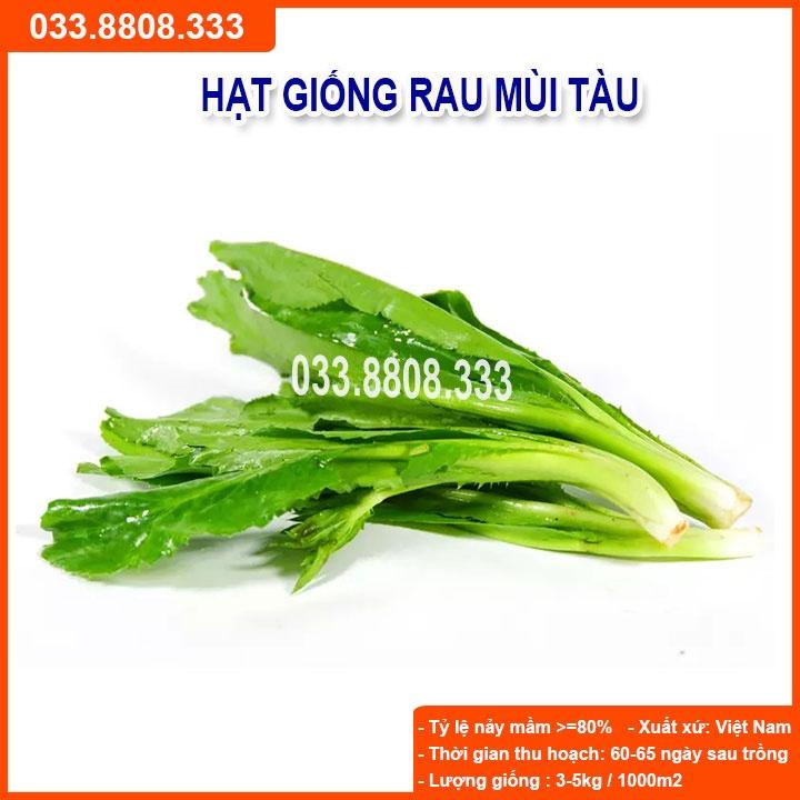 Hạt Giống Rau Mùi Tàu 5g - Nhanh Thu Hoạch