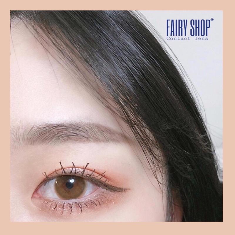 Kính áp tròng Nâu Sữa Latte 14.0mm - FAIRY SHOP CONTACT LENS độ 0 đến 6