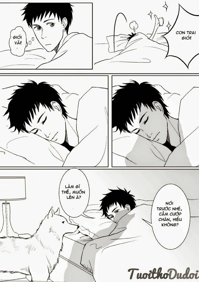 sự mê hoặc của sói chapter 16 5