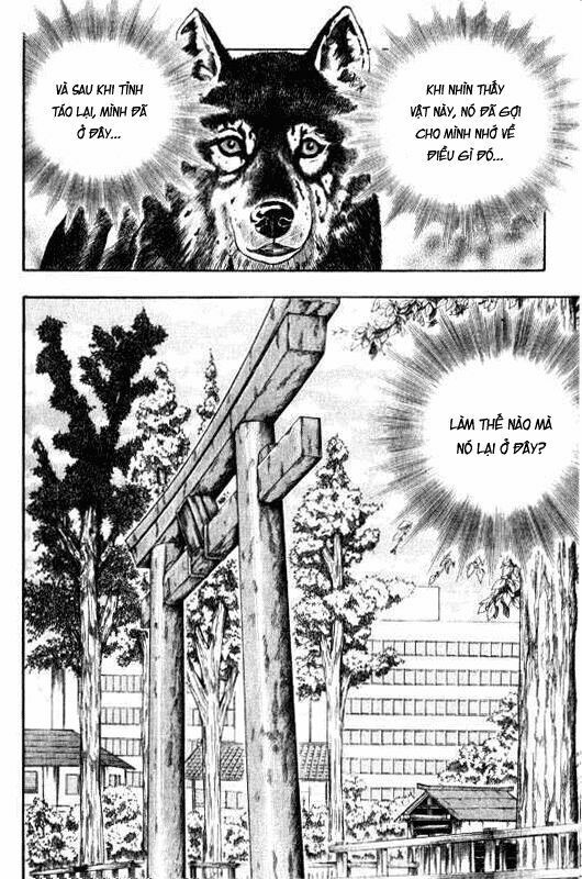 inugami chapter 9 12