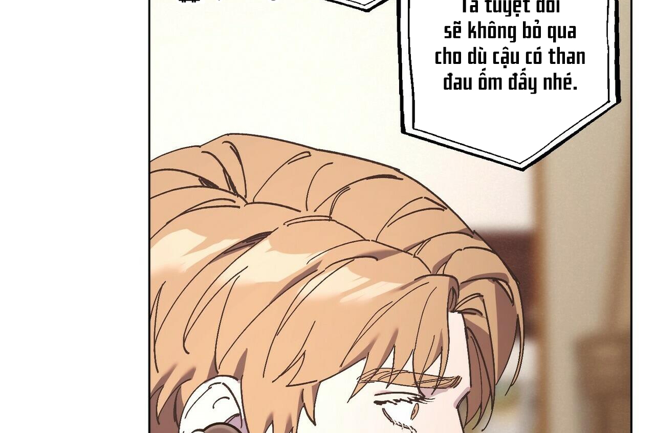 chàng dâu nhà họ kang chapter 28 163