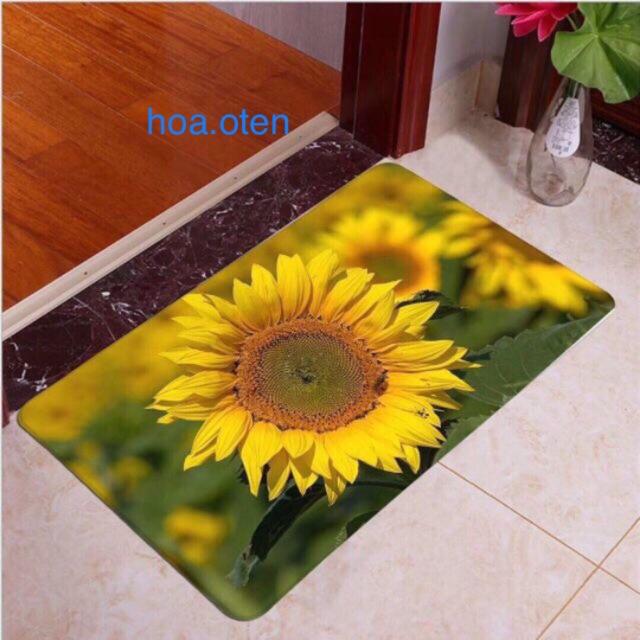 Thảm Lau Chân 3D Ghome Siêu Đẹp 60x40cm, Màu Ngẫu Nhiên