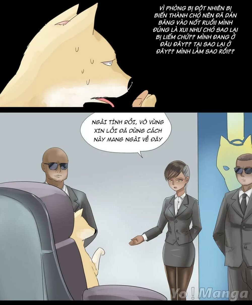 một con chó chapter 30 2