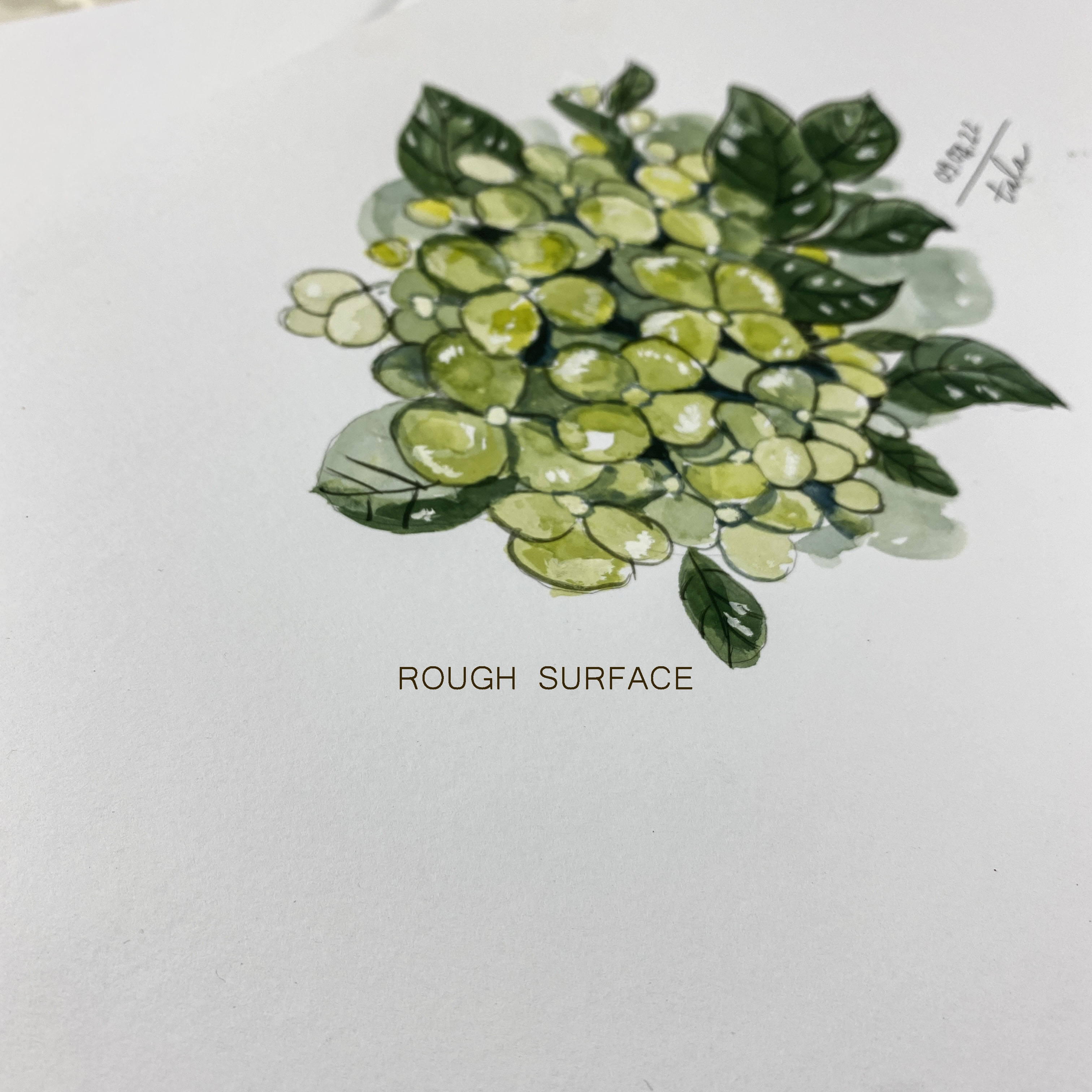 [STHM stationery] - Giấy vẽ màu nước - Canson 300gsm vân rough - Vẽ màu nước, marker touchliit