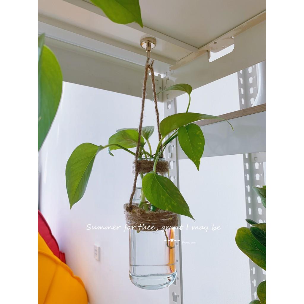 KỆ TRANG TRÍ CÂY CẢNH PHÒNG KHÁCH,KỆ ĐA NĂNG