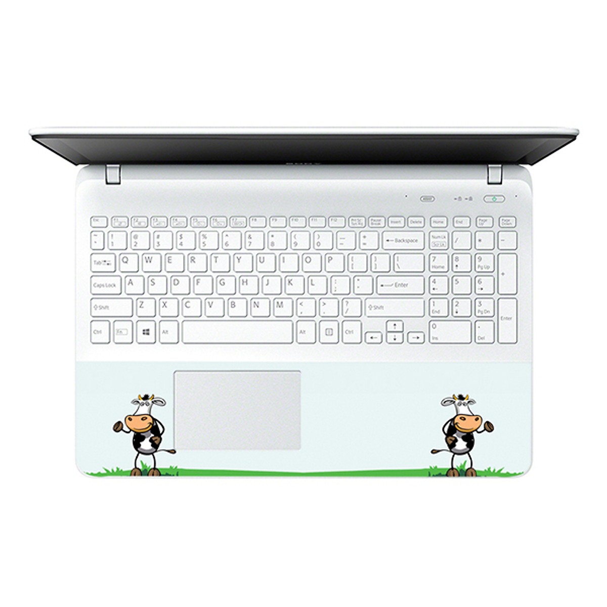 Mẫu Dán Decal Laptop Hoạt Hình Laptop LTHH-192