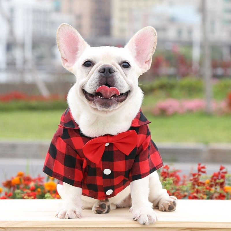 [Có Size 4XL] Áo sơ mi có nơ đi biển cho Chó Mèo , thời trang mùa hè dành cho cún cưng