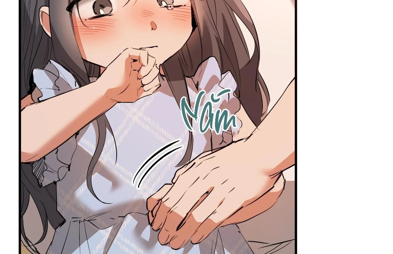 những chú thỏ của hapypy chapter 65 48