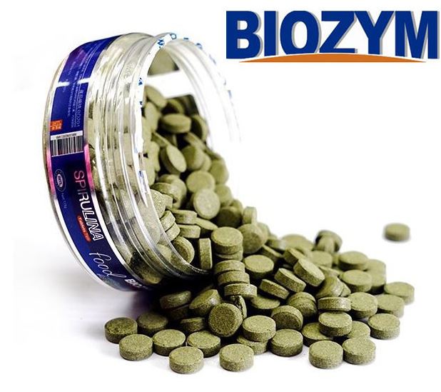 Thức ăn cá cảnh tảo xoắn Biozym Spirulina viên dán