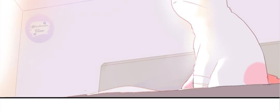 social cat chapter 1 18