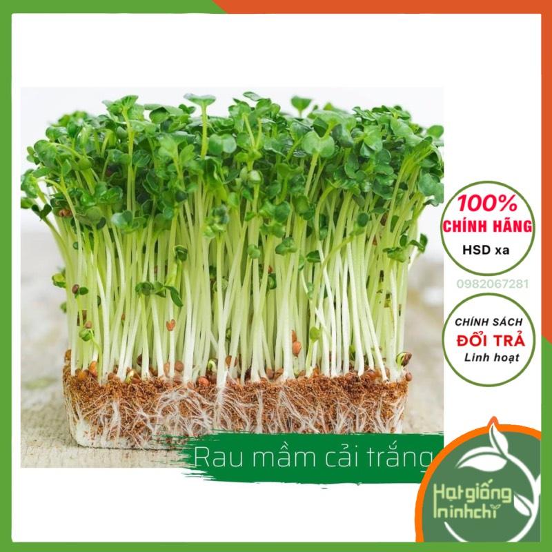 Combo 8 loại hạt giống rau mầm. 8 gói như hình(củ cải trắng, củ cải đỏ, củ cải xanh, đậu hà lan