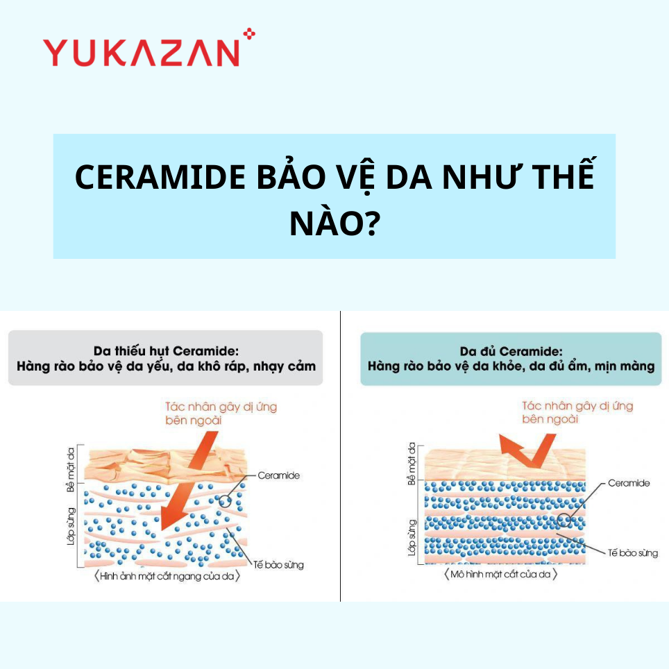 Gel Dưỡng Ẩm Cho Da Yukazan – Hydra Essence Gel 30ml