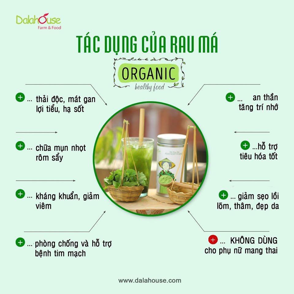 Bột rau má sấy lạnh nguyên chất 100% Organic Thương Hiệu Tuệ Minh hộp 50g