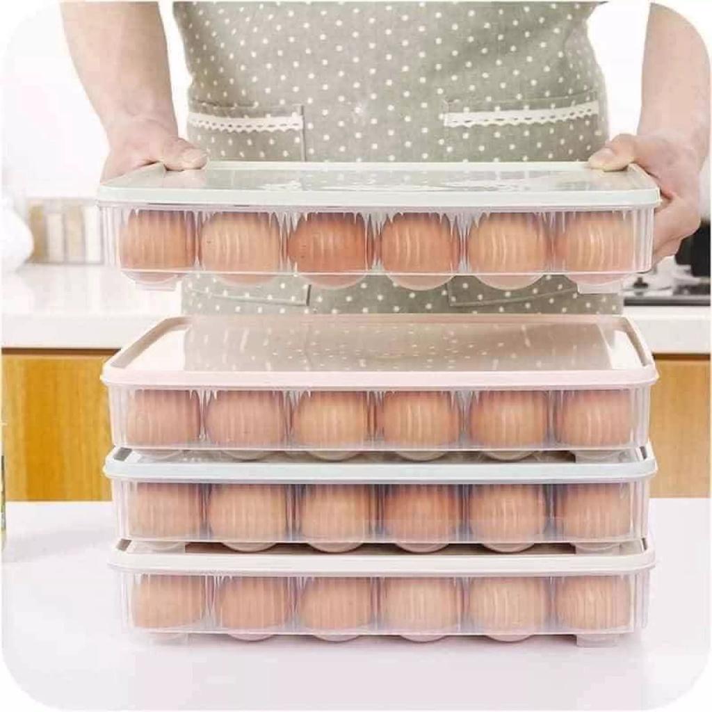 Hộp Khay Đựng Trứng (24 Trứng) Loại Nắp Trong Suốt