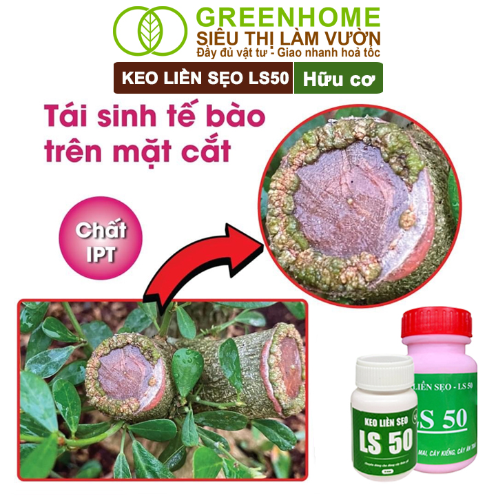 Keo Liền Sẹo LS50 Cho Cây Greenhome, Liền Nhanh Vết Cắt Da Cây, Chiết Cành,  Bonsai, Lan, Kiểng Lá