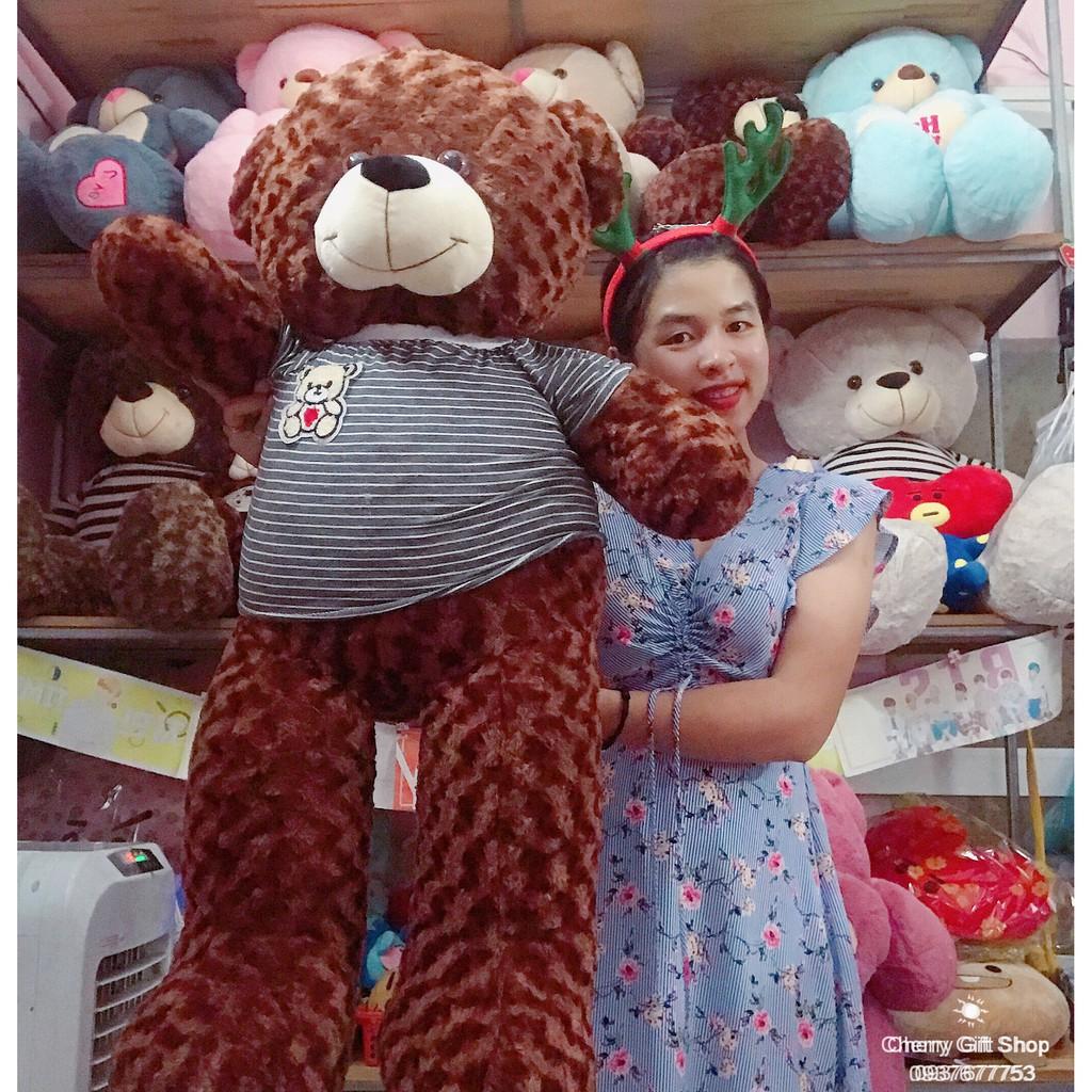 Gấu Bông Teddy Áo Xọc Giá Sốc 1m1 Ảnh Shop Chụp