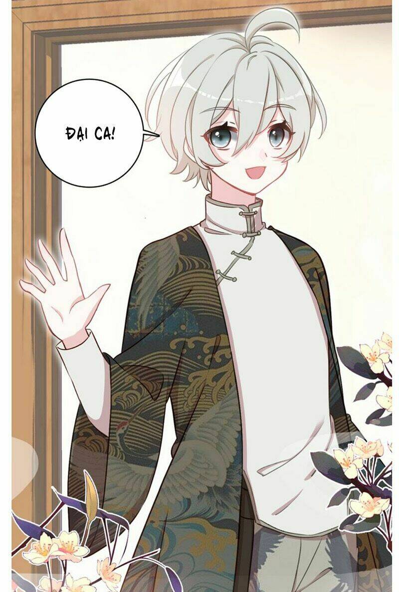 nhất sinh nhất thế mỹ nhân cốt chapter 22 18