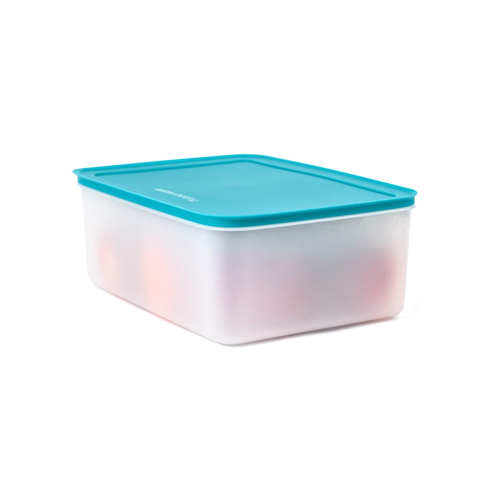 Hộp Nhựa Trữ Đông Bảo Quản Thực Phẩm Tủ Lạnh Freezermate Gen II 5.7L Chính Hãng Tupperware, Kín Nước Kín Khí An Toàn