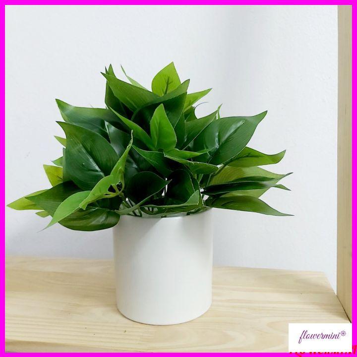 Chậu cây lá giả thường xuân cắm sẵn giỏ gỗ thông nhỏ xinh trang trí quầy lễ tân, góc học tập, kệ tủ xanh tươi