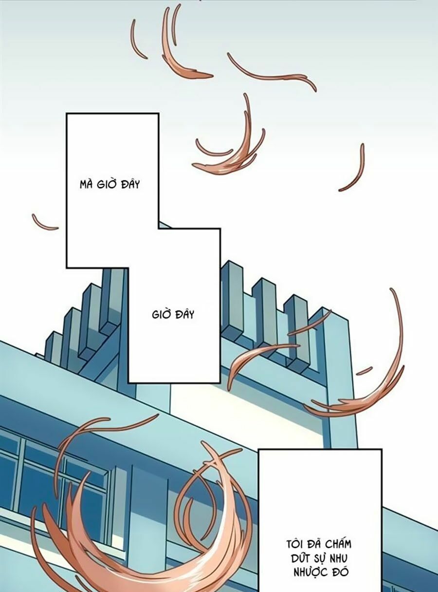 bài ca tình yêu chapter 8 33