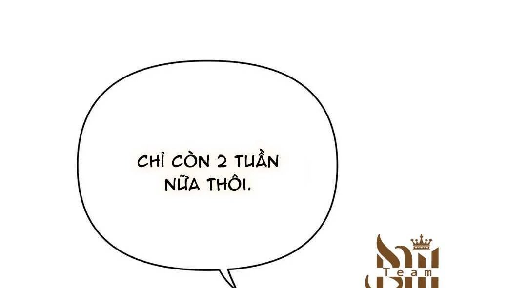 guide cấp b chapter 40 27