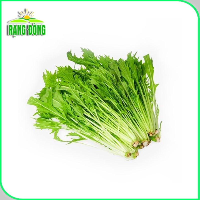 Hạt giống Cải Đuôi Phụng Rado 133 (20g~3500 hạt) trồng quanh năm, sinh trưởng tốt, nhanh thu hoach - Hạt giống Rạng Đông