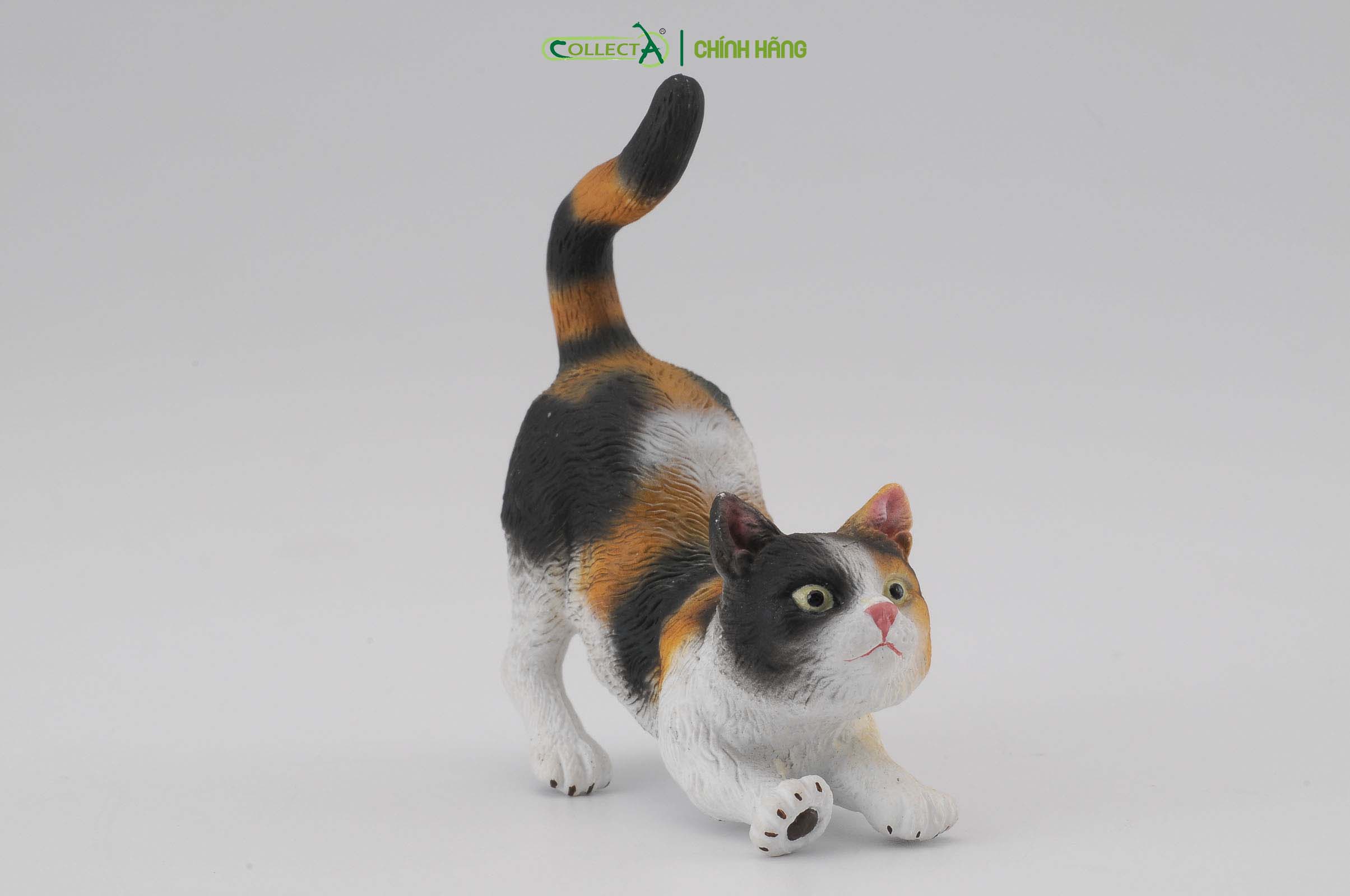 Mô hình thu nhỏ: Mèo tam thể - 3-Colour House Cat - Stretching, hiệu: CollectA, mã HS 9650030[88491] -  Chất liệu an toàn cho trẻ - Hàng chính hãng