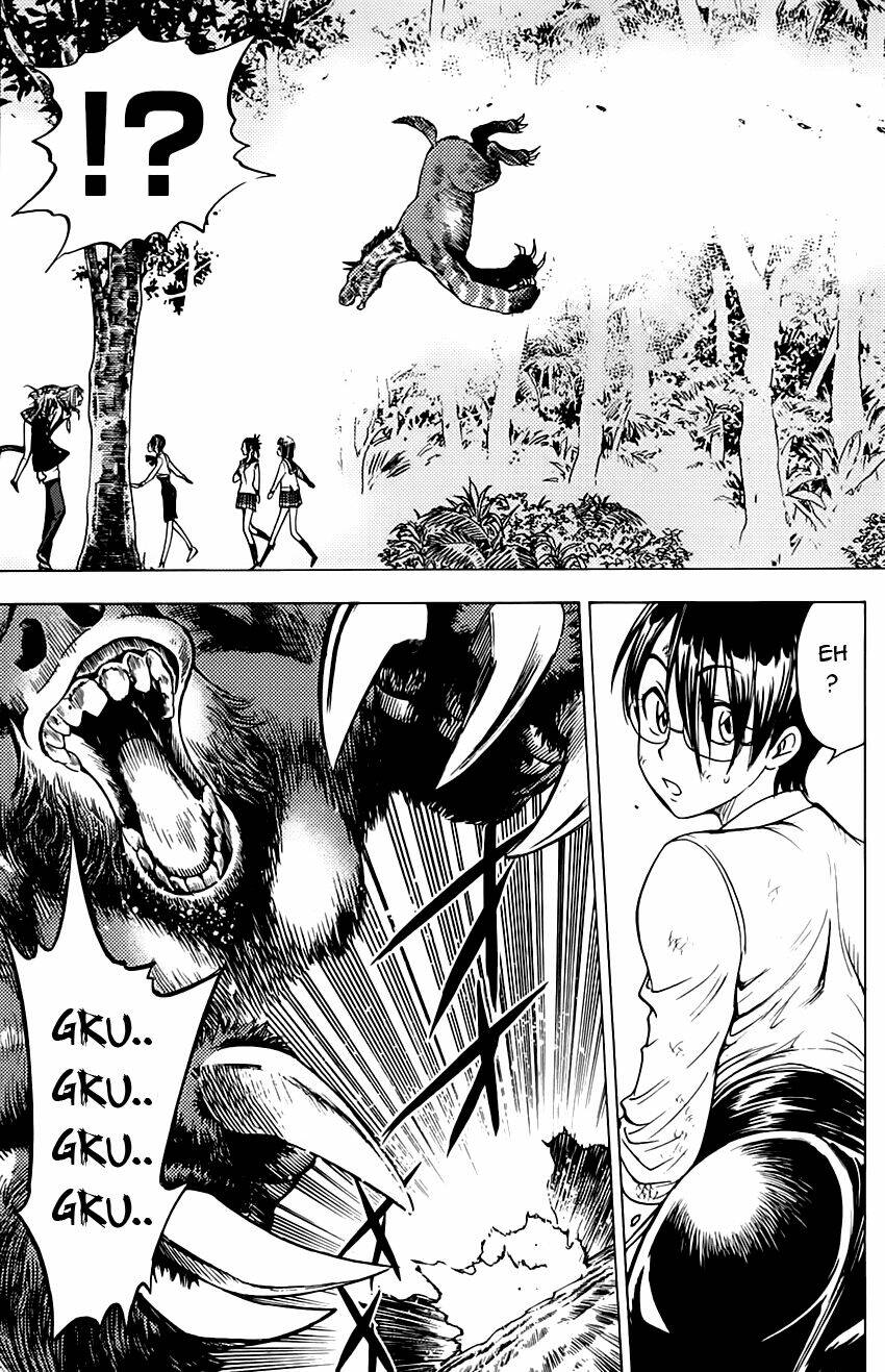 cage of eden chapter 63 17