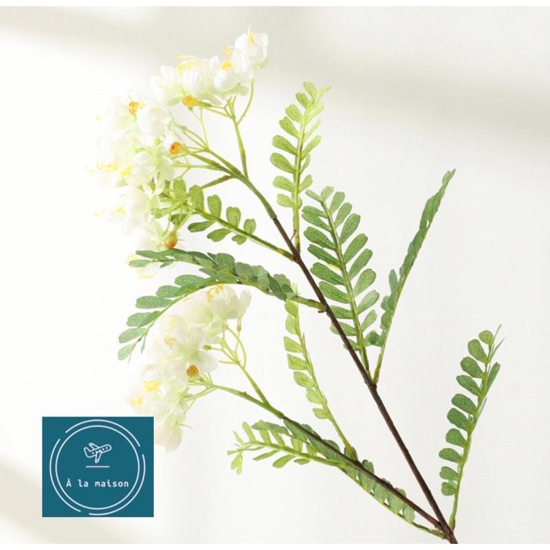 Cành hoa Chi vang cao 78cm nhiều nhánh hoa và lá đẹp tự nhiên