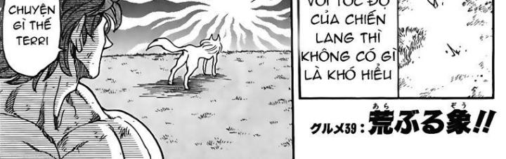 thánh tỏi sành ăn chapter 39 5