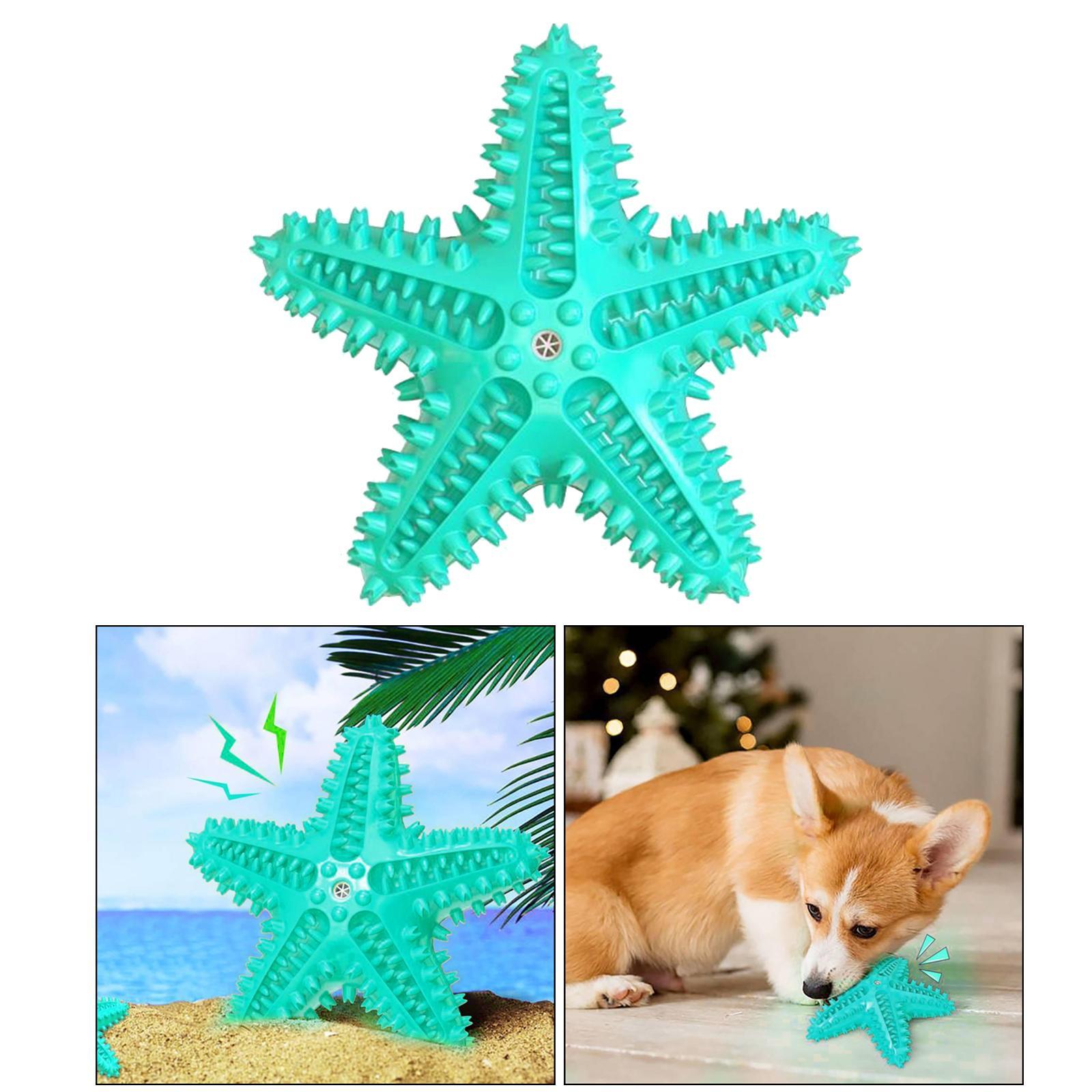 Dog Squeaky Chew Toy Bite Resistant Interactive Molar Cleaning