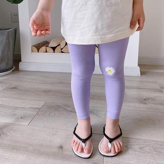 Quần legging thun thêu hoa cúc bé gái từ 8-18kg