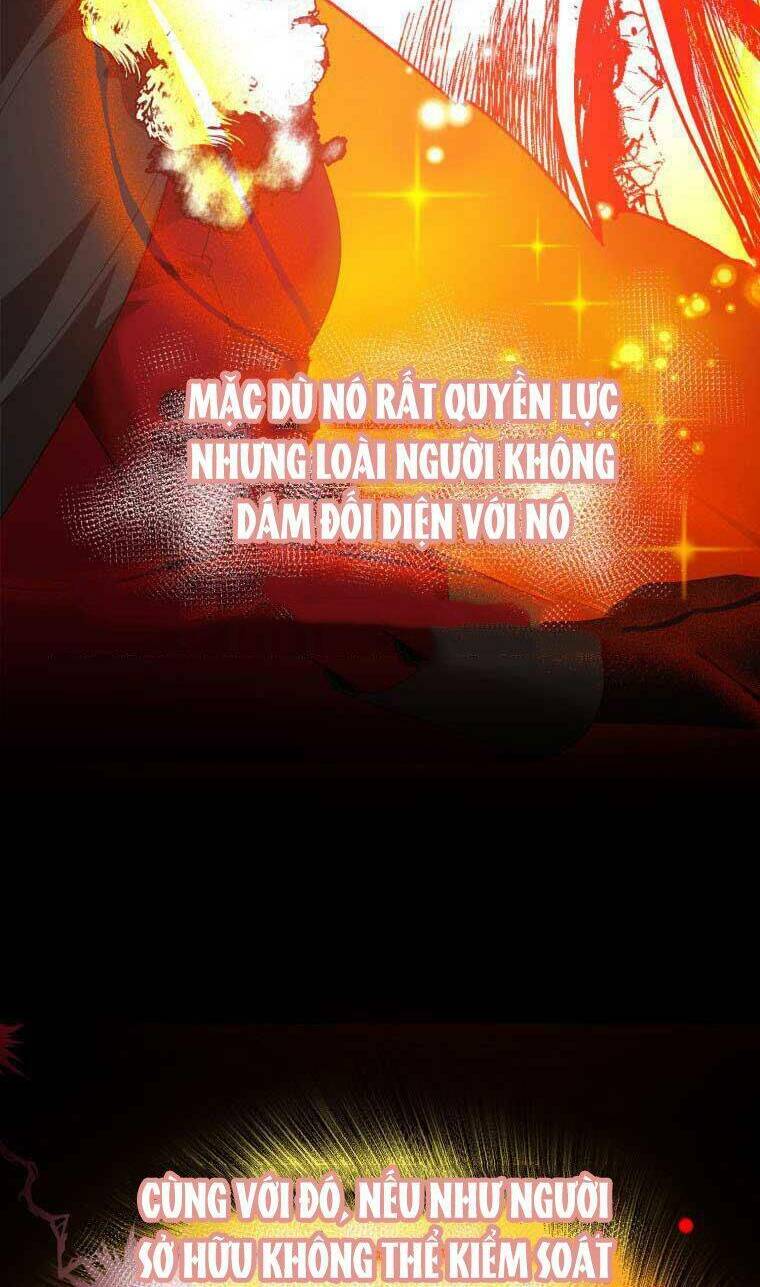 bước tới con đường hoa chapter 50 2