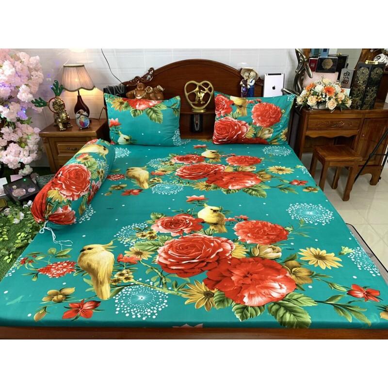 Drap thun Hàn quốc