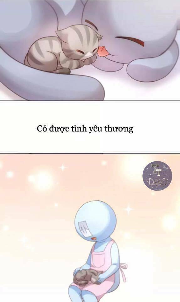 dưới móng vuốt mèo chapter 19 43